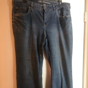 Ladies Plus Flare Jeans